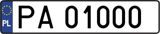 PA01000