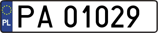 PA01029