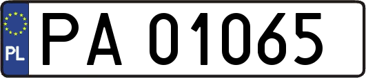 PA01065