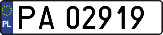PA02919
