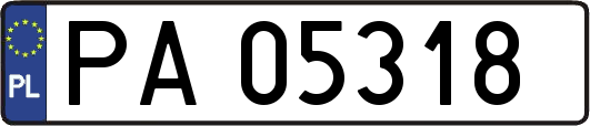 PA05318