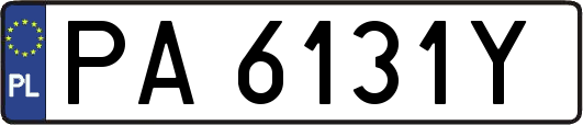 PA6131Y