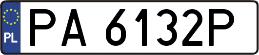 PA6132P