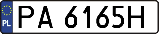 PA6165H