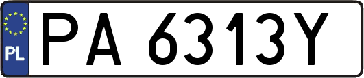 PA6313Y