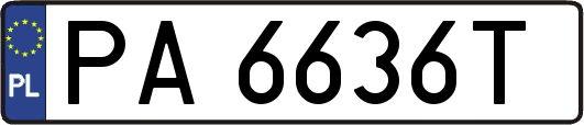 PA6636T