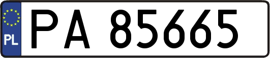 PA85665