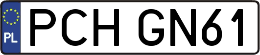 PCHGN61