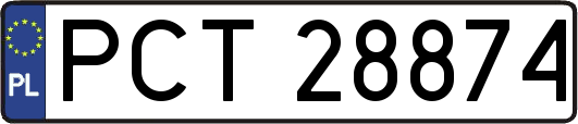 PCT28874