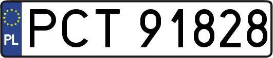 PCT91828