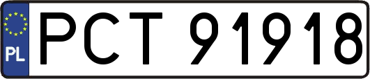 PCT91918
