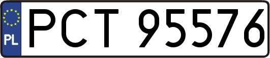PCT95576