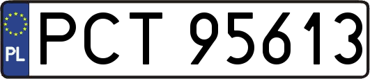 PCT95613