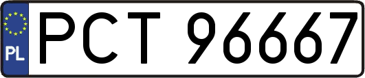 PCT96667
