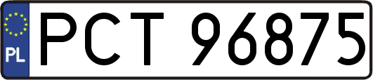 PCT96875