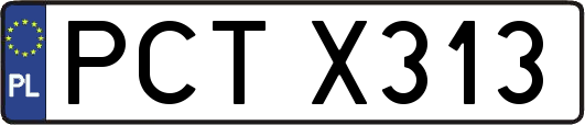 PCTX313