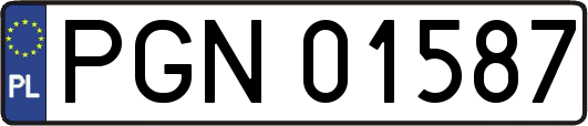 PGN01587