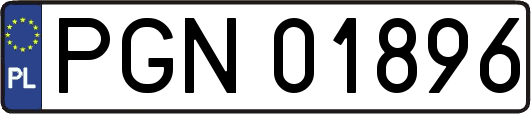 PGN01896