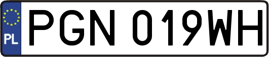 PGN019WH