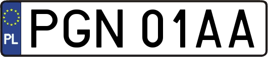 PGN01AA