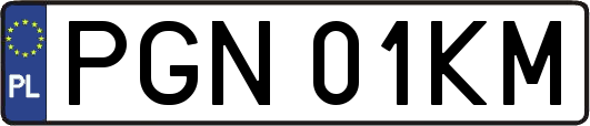 PGN01KM