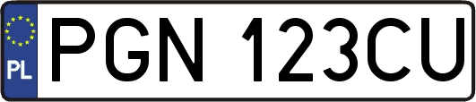 PGN123CU