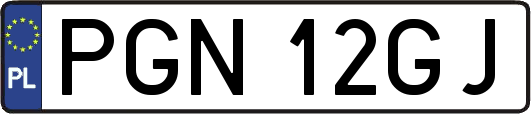 PGN12GJ