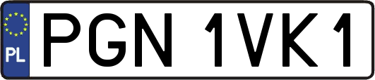 PGN1VK1