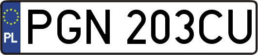 PGN203CU