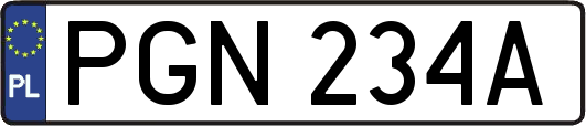 PGN234A