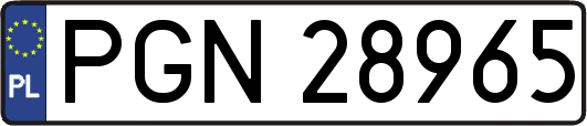 PGN28965