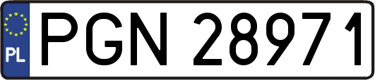 PGN28971