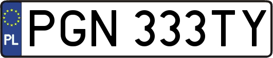 PGN333TY