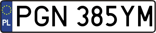 PGN385YM