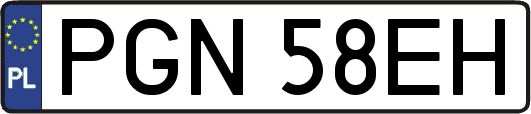 PGN58EH