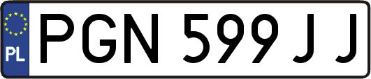 PGN599JJ