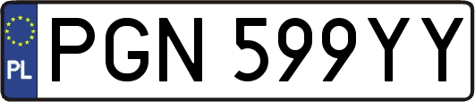 PGN599YY