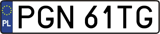 PGN61TG