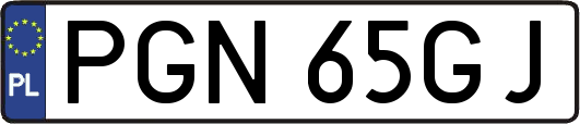 PGN65GJ