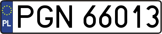 PGN66013