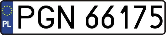 PGN66175