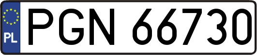 PGN66730