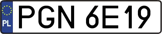 PGN6E19