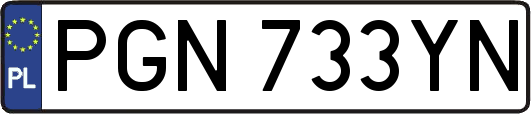 PGN733YN