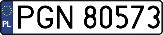 PGN80573