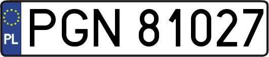 PGN81027