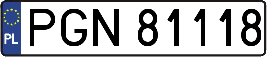 PGN81118