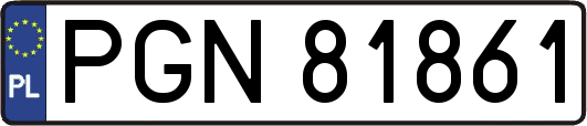 PGN81861