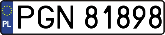 PGN81898