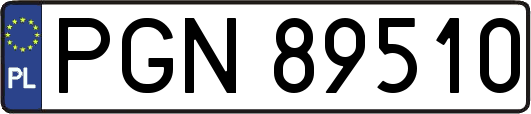 PGN89510
